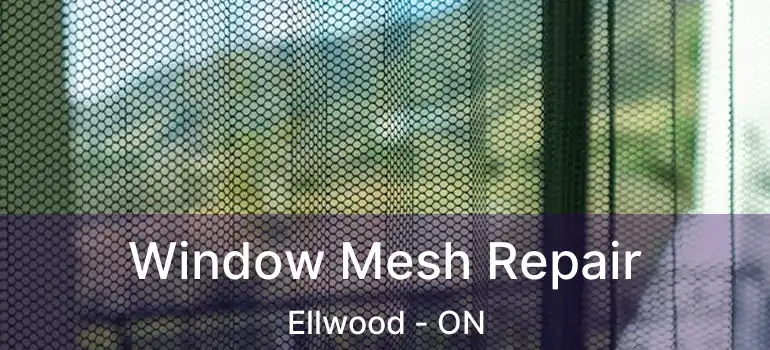 Window Mesh Repair Ellwood - ON