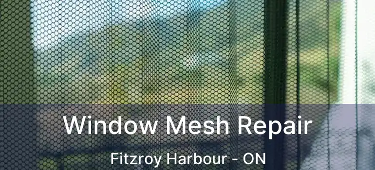  Window Mesh Repair Fitzroy Harbour - ON