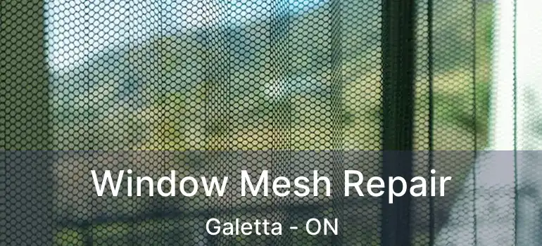  Window Mesh Repair Galetta - ON