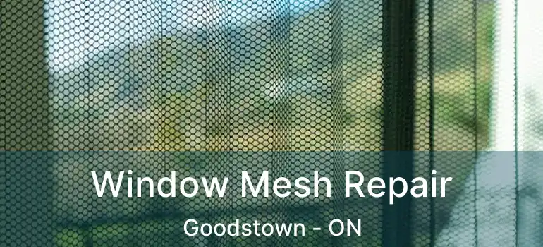  Window Mesh Repair Goodstown - ON