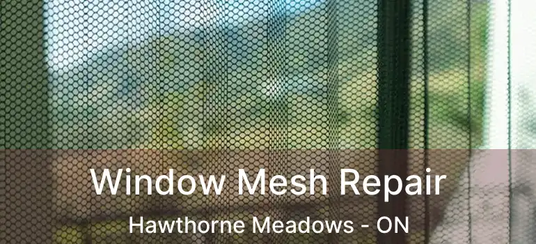  Window Mesh Repair Hawthorne Meadows - ON
