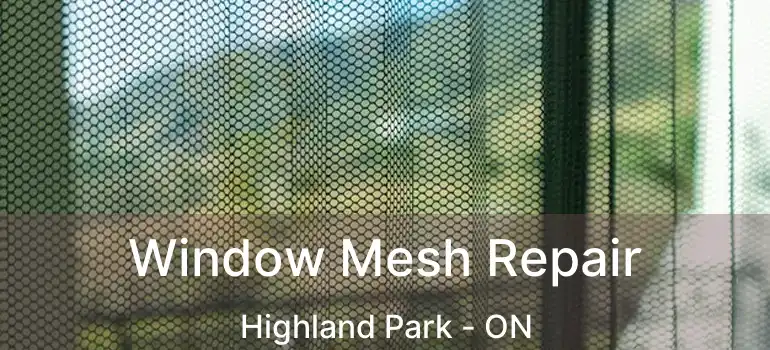  Window Mesh Repair Highland Park - ON
