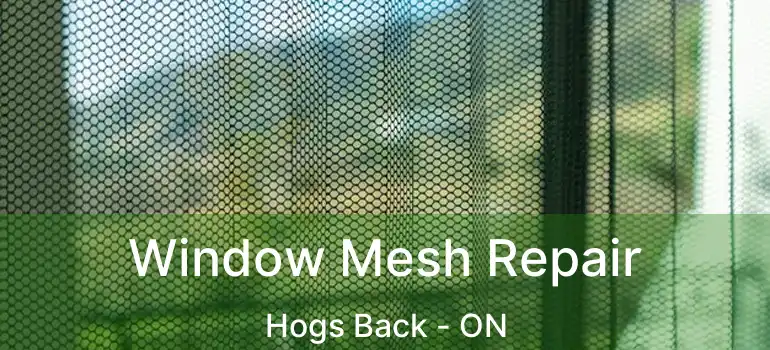Window Mesh Repair Hogs Back - ON