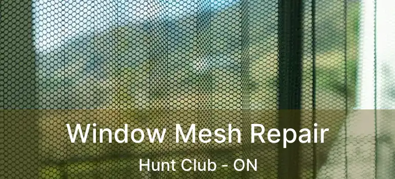  Window Mesh Repair Hunt Club - ON