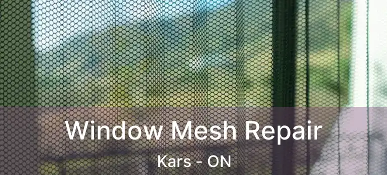 Window Mesh Repair Kars - ON