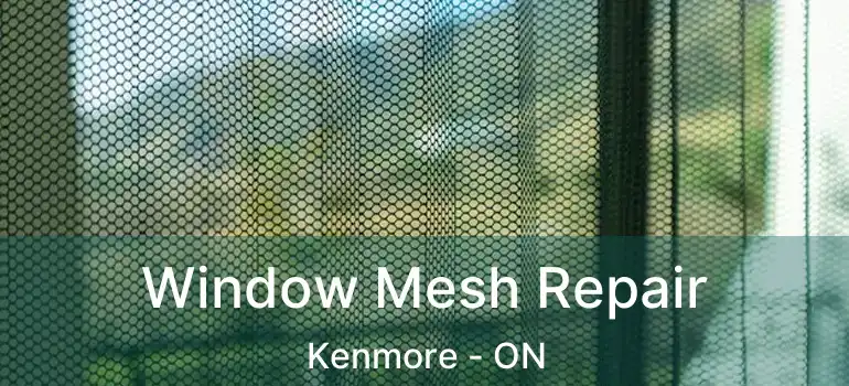 Window Mesh Repair Kenmore - ON