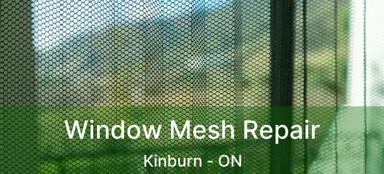  Window Mesh Repair Kinburn - ON