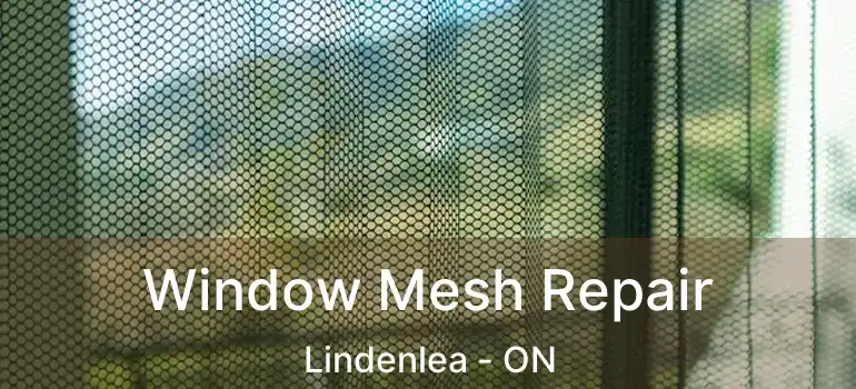  Window Mesh Repair Lindenlea - ON