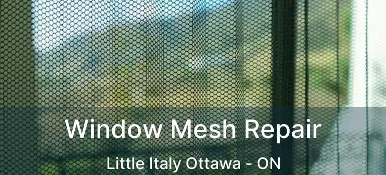  Window Mesh Repair Little Italy Ottawa - ON