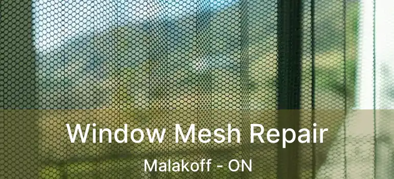  Window Mesh Repair Malakoff - ON