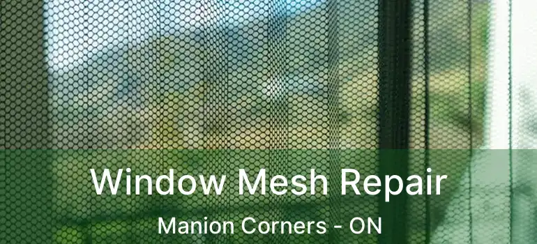  Window Mesh Repair Manion Corners - ON
