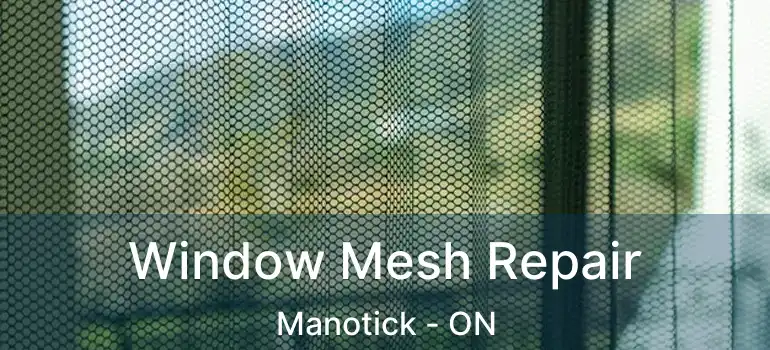 Window Mesh Repair Manotick - ON