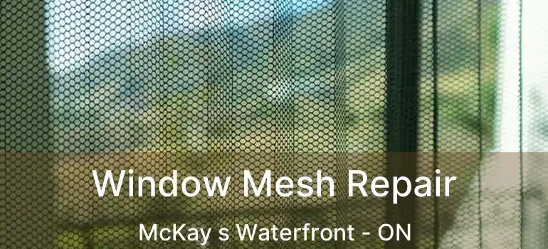 Window Mesh Repair McKay s Waterfront - ON
