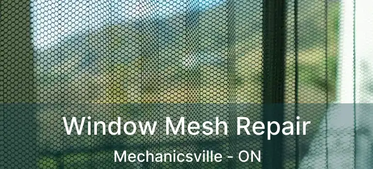  Window Mesh Repair Mechanicsville - ON