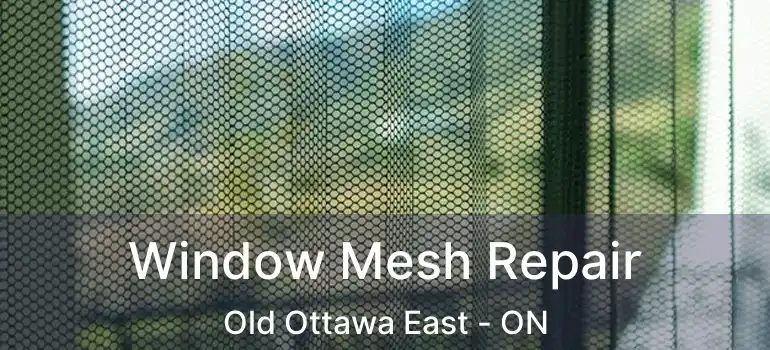  Window Mesh Repair Old Ottawa East - ON