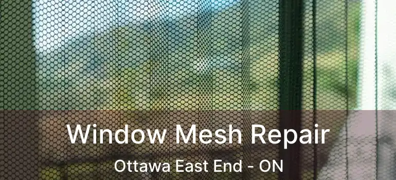  Window Mesh Repair Ottawa East End - ON