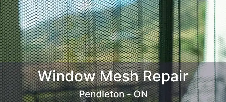 Window Mesh Repair Pendleton - ON