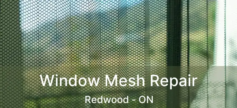  Window Mesh Repair Redwood - ON