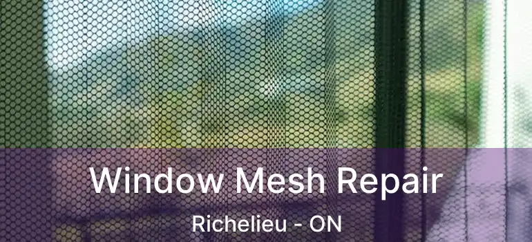  Window Mesh Repair Richelieu - ON