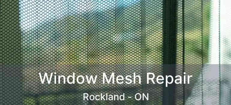  Window Mesh Repair Rockland - ON