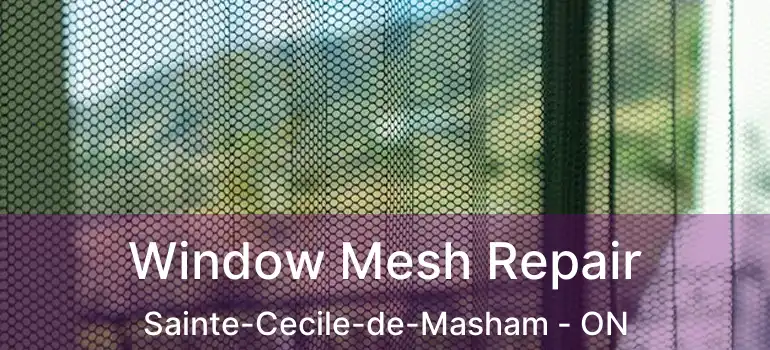 Window Mesh Repair Sainte-Cecile-de-Masham - ON