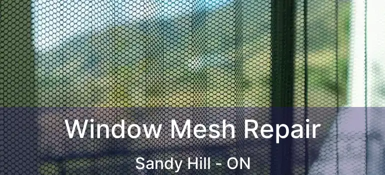  Window Mesh Repair Sandy Hill - ON