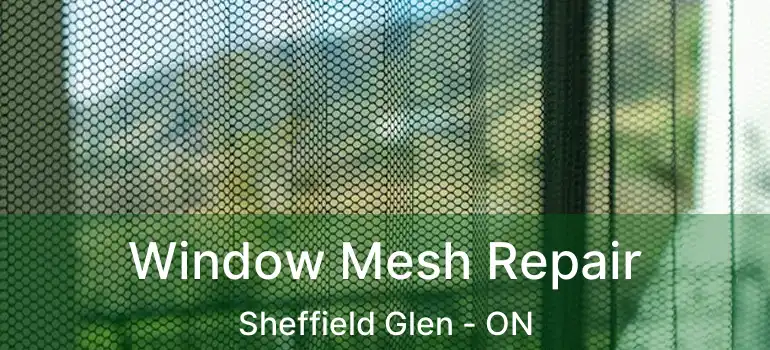 Window Mesh Repair Sheffield Glen - ON