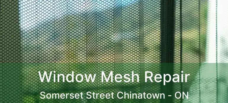  Window Mesh Repair Somerset Street Chinatown - ON