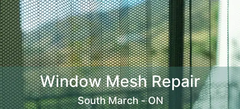  Window Mesh Repair South March - ON