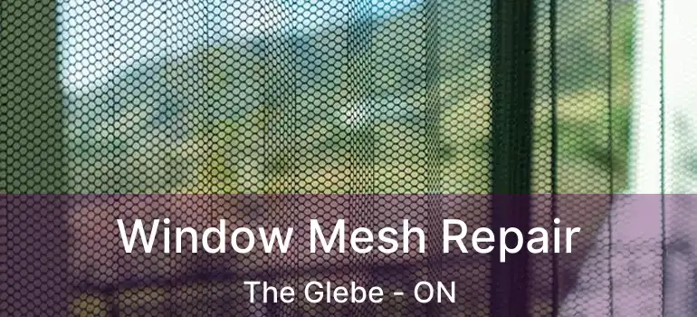  Window Mesh Repair The Glebe - ON