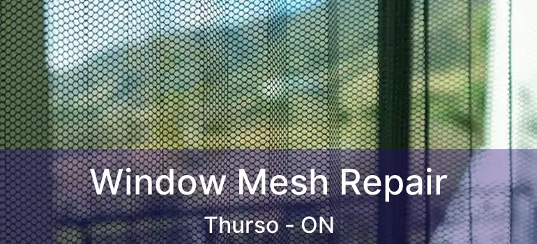  Window Mesh Repair Thurso - ON