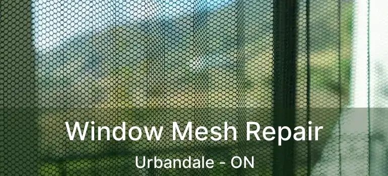  Window Mesh Repair Urbandale - ON