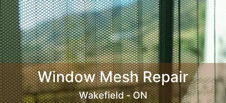  Window Mesh Repair Wakefield - ON