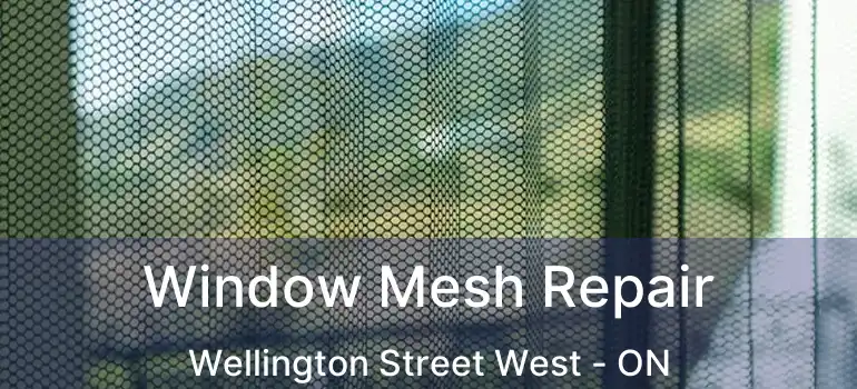  Window Mesh Repair Wellington Street West - ON