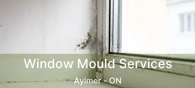  Window Mould Services Aylmer - ON