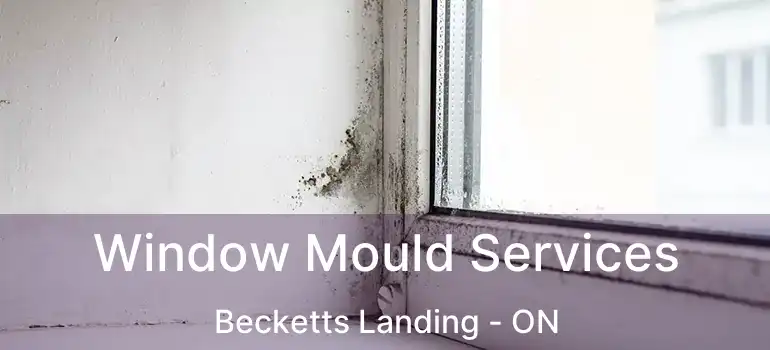 Window Mould Services Becketts Landing - ON