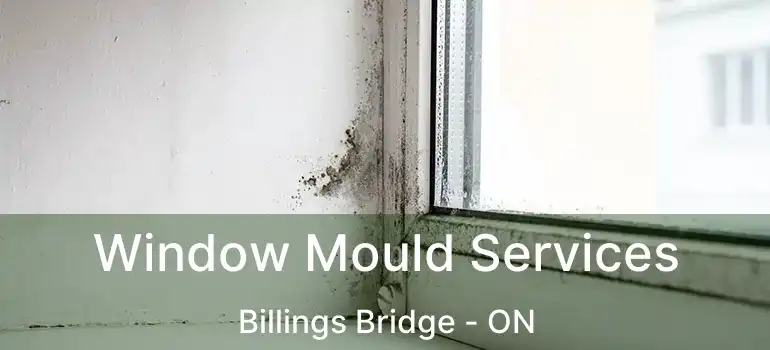 Window Mould Services Billings Bridge - ON