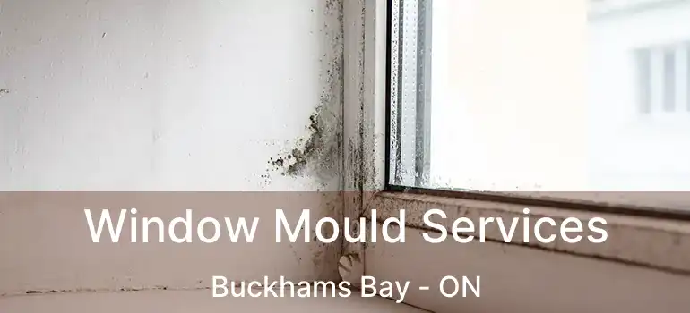  Window Mould Services Buckhams Bay - ON