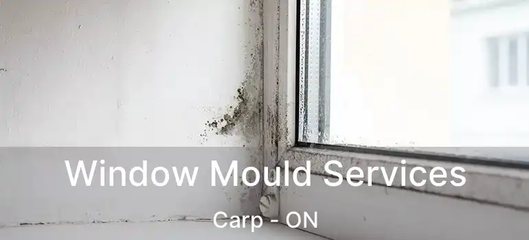 Window Mould Services Carp - ON