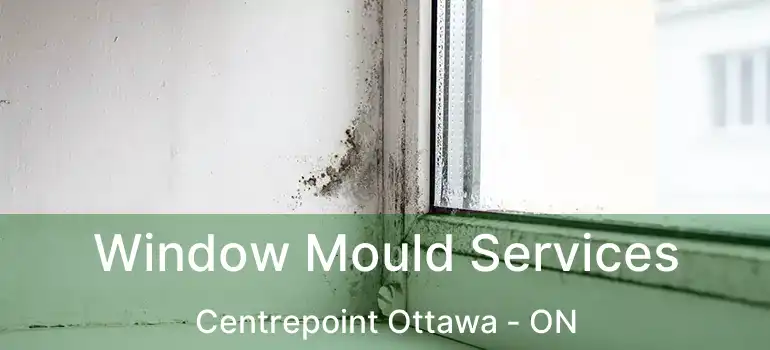  Window Mould Services Centrepoint Ottawa - ON