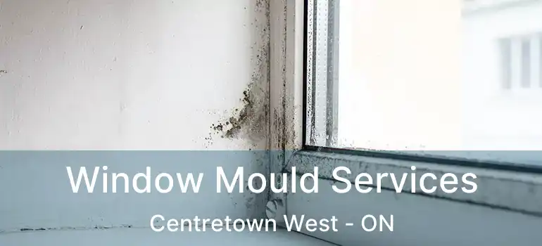  Window Mould Services Centretown West - ON