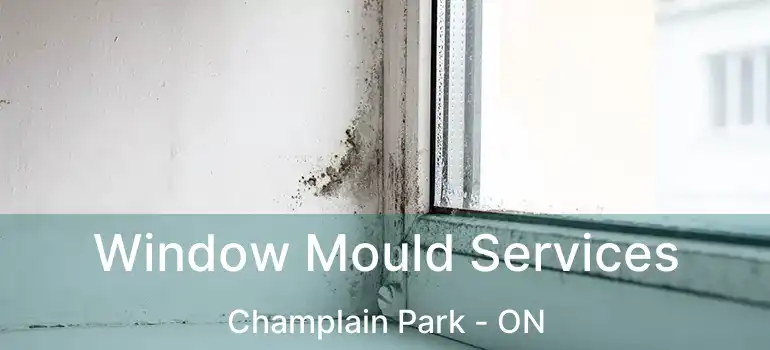 Window Mould Services Champlain Park - ON
