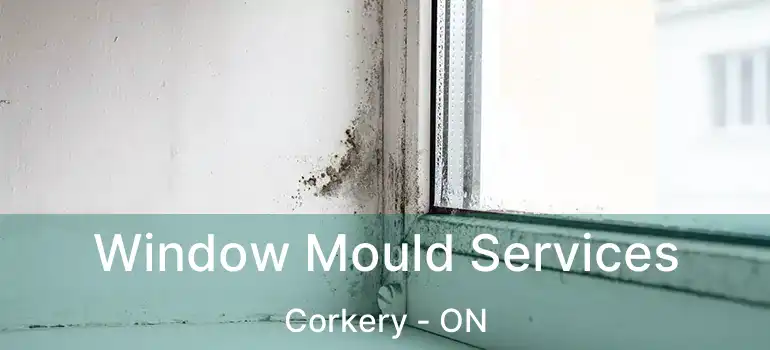 Window Mould Services Corkery - ON