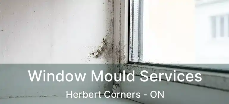  Window Mould Services Herbert Corners - ON