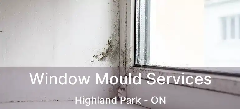  Window Mould Services Highland Park - ON