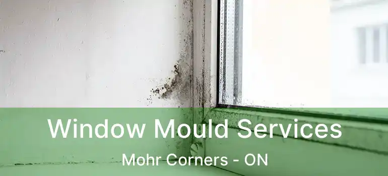  Window Mould Services Mohr Corners - ON