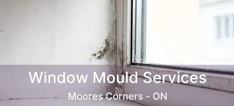  Window Mould Services Moores Corners - ON