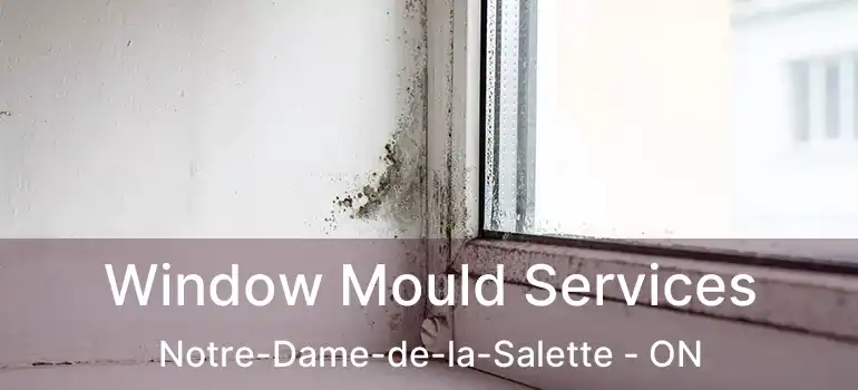  Window Mould Services Notre-Dame-de-la-Salette - ON