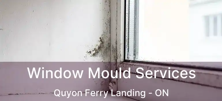 Window Mould Services Quyon Ferry Landing - ON