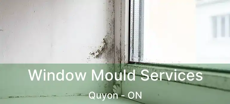  Window Mould Services Quyon - ON